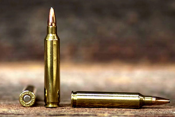 204 Ruger AR Hunting Cartridge