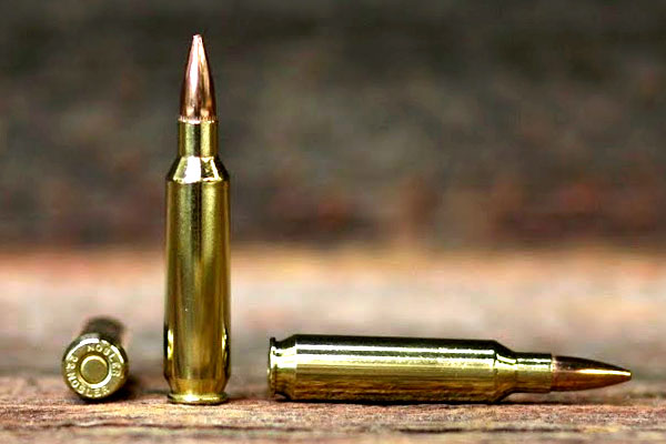 22 Nosler AR Hunting Cartridge