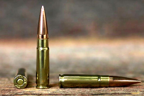 300 Blackout AR Hunting Cartridge