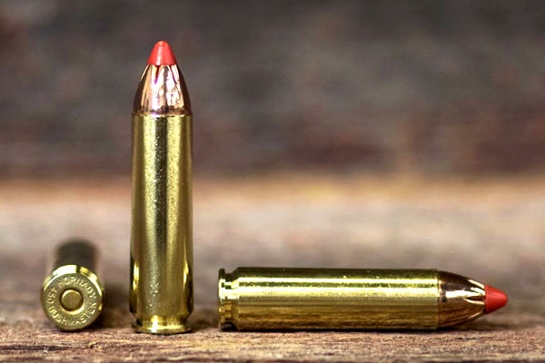 450 BM AR Hunting Cartridge