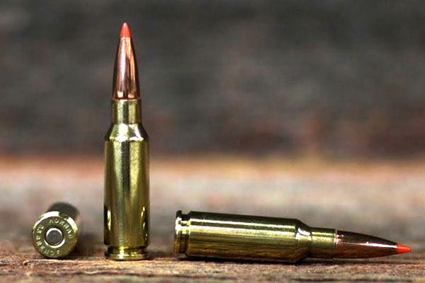 6.5 Grendel AR Hunting Cartridge